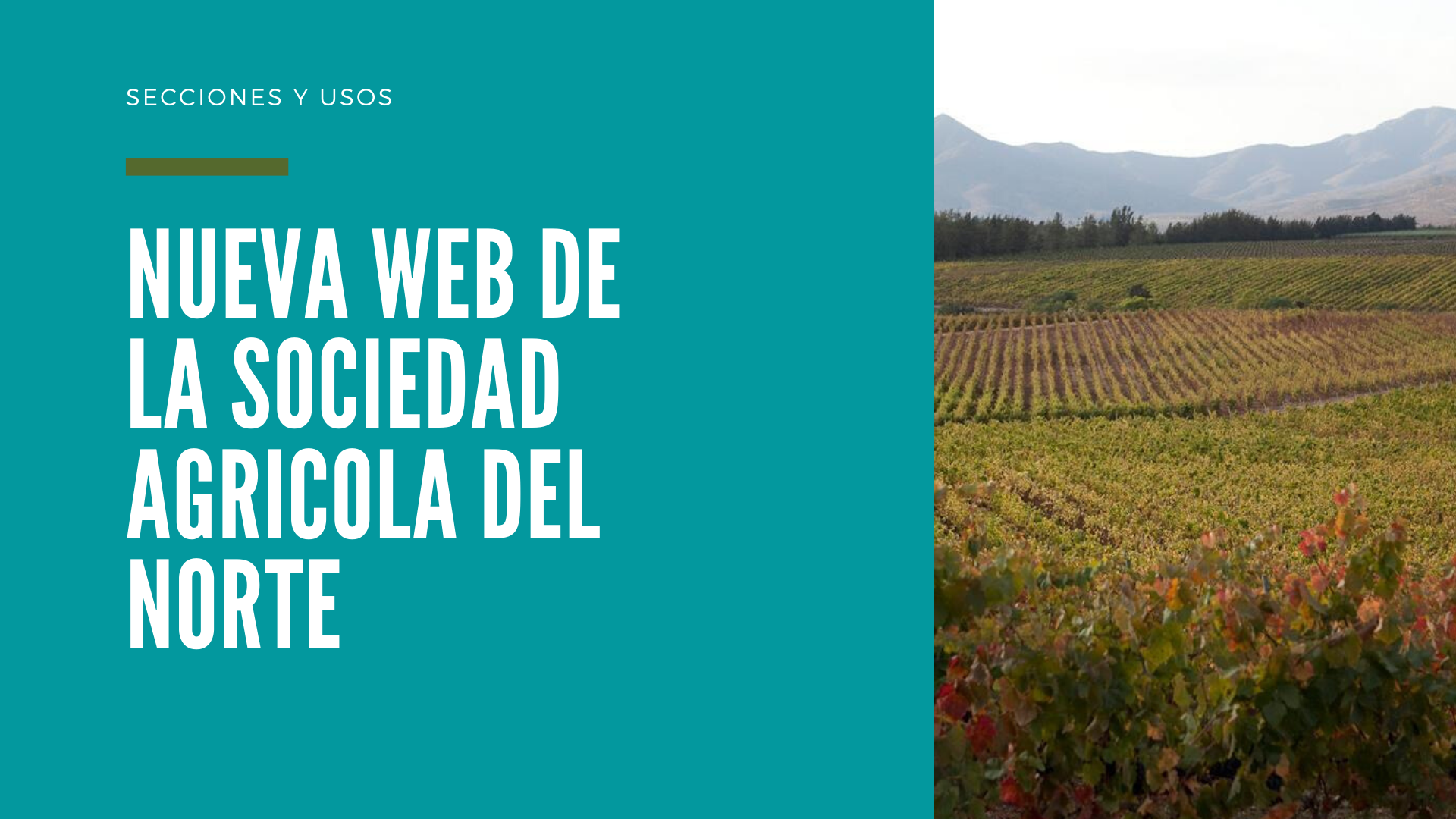 Nueva Web SAN Y Apoyo A Emprendedores