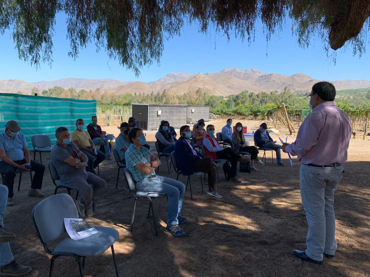 Por Rentabilidad Agricultores De Uvas De Mesa De Vicuña Reconvierten Su Producción En Pasas De Exportación