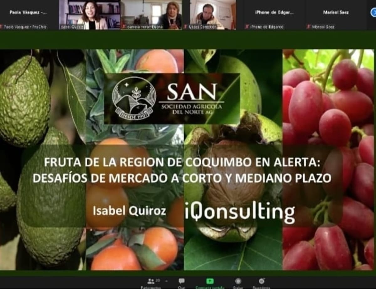 Presentación Isabel Quiroz : Webinar “Fruta De Región De Coquimbo En Alerta: Desafíos De Mercado A Corto Y Mediano Plazo»