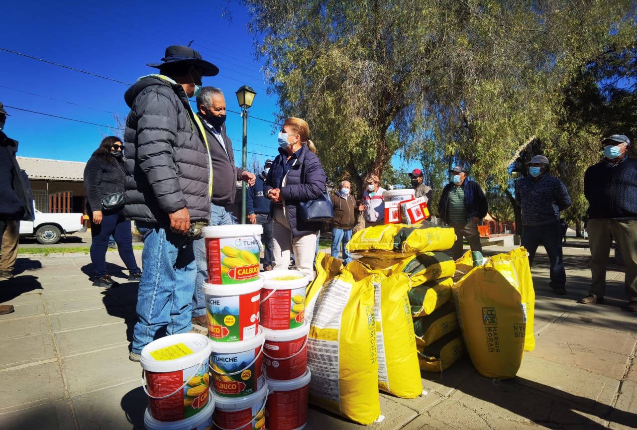 Sociedad Agrícola Del Norte Entrega 180 Mil Semillas Para Pequeños Agricultores De Monte Patria