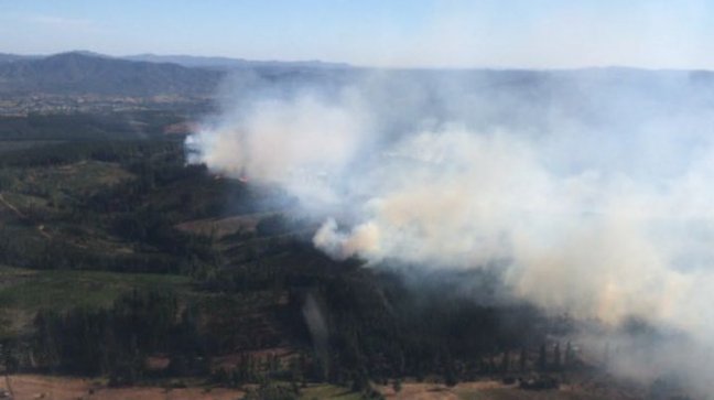 Sociedad Agrícola Del Norte Entrega Ayuda A Localidad Del Sur De Chile Afectada Por Los Incendios Forestales